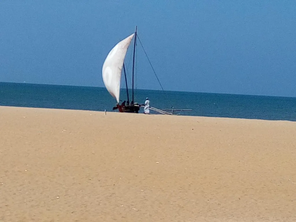 The Sea House Guest House Negombo