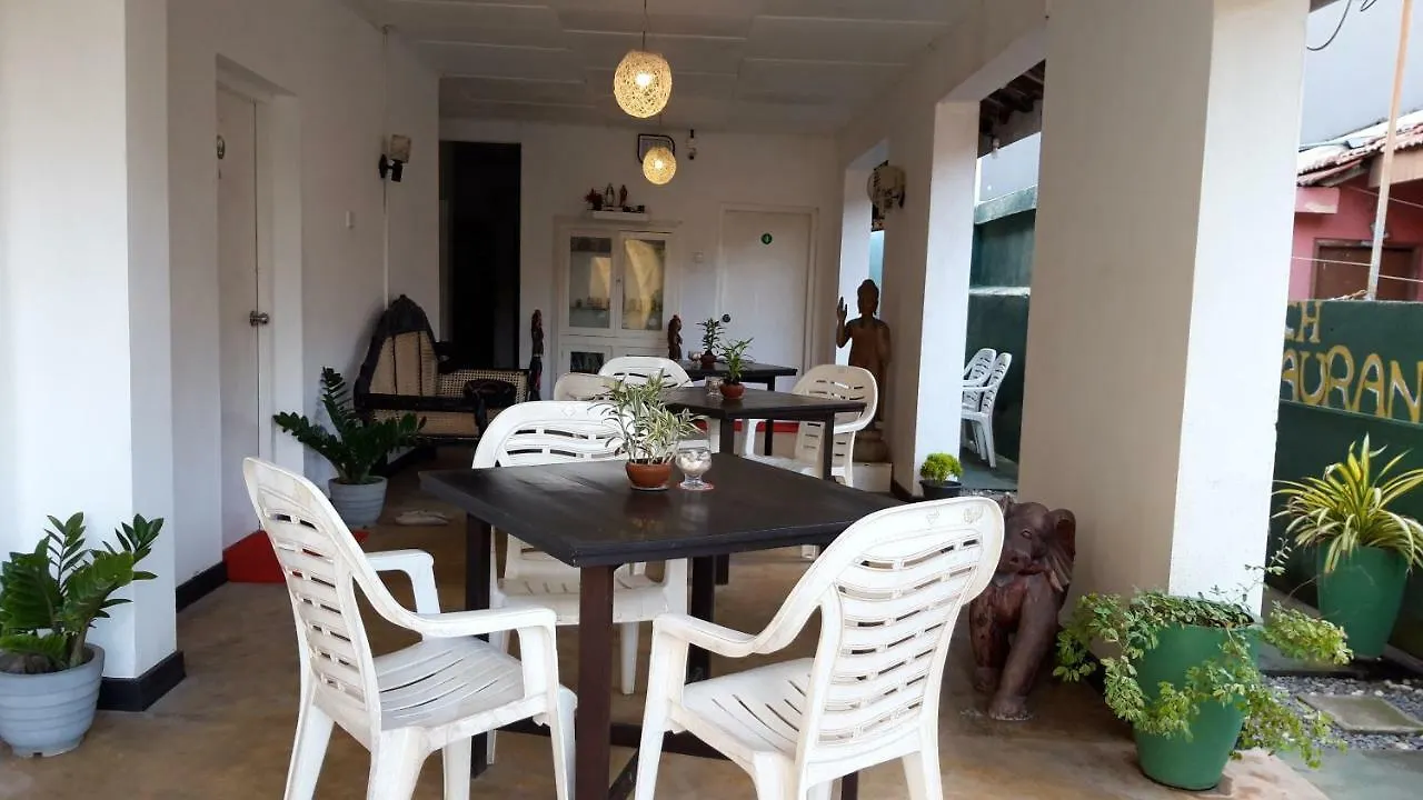 The Sea House Guest House Negombo Sri Lanka